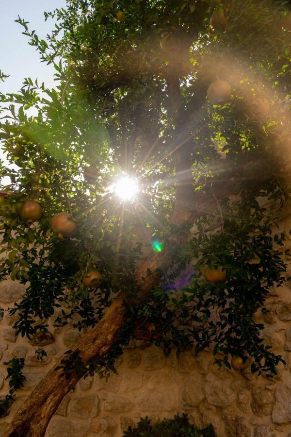 Yesil Ev Cafe & Boutique Hotel HATAY Bagian luar foto